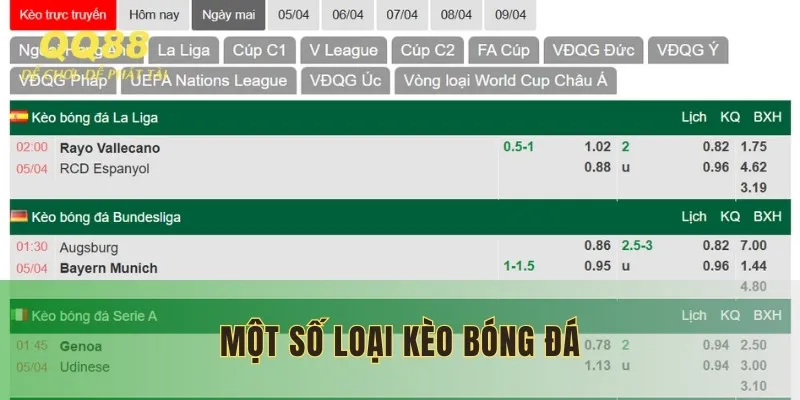 Hé lộ các loại kèo bóng đá thường gặp mà người mới cần nhớ