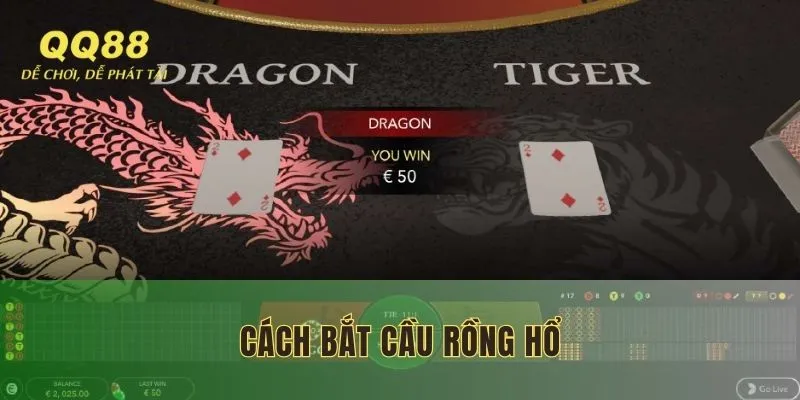 cach-bat-cau-rong-ho