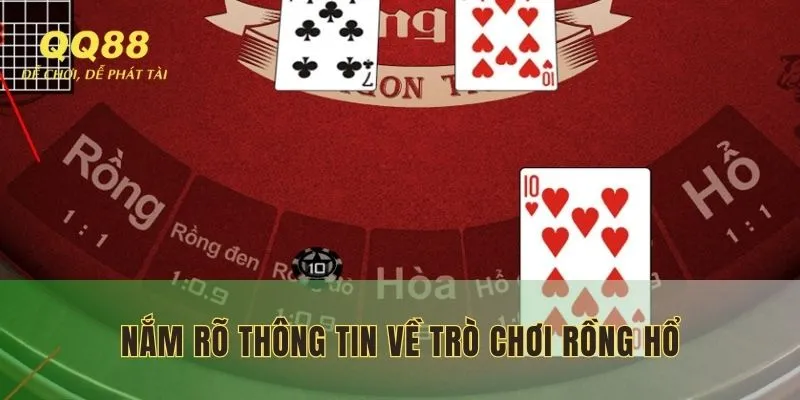 Nắm rõ thông tin về trò chơi Rồng Hổ